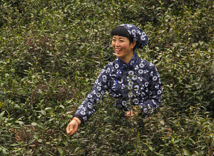 春满楼直播 banner